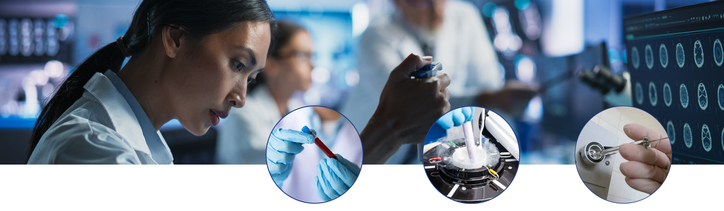 Lab Banner