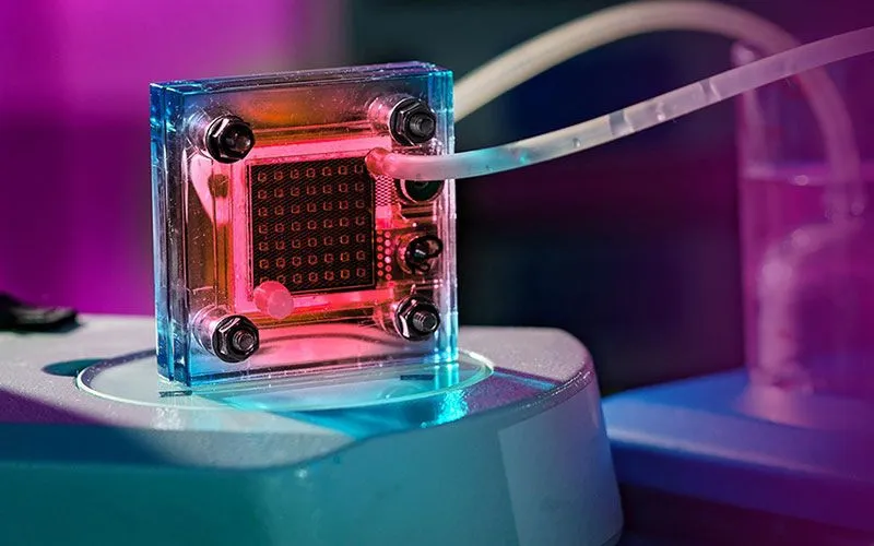 Solid Oxide Fuel Cells